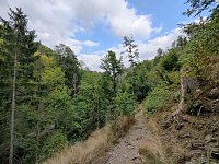 Vom Mägdesprung zum Waldgagsthof Bild: Vom Mägdesprung zum Waldgagsthof