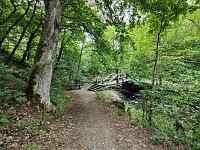 Vom Mägdesprung zum Waldgagsthof Bild: Vom Mägdesprung zum Waldgagsthof