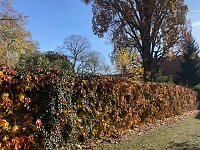 Bild: Herbstimpressionen