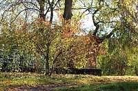 Bild: Herbstimpressionen
