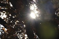 Bild: Herbstimpressionen