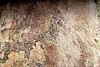 Bild: Herbstimpressionen