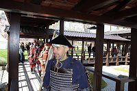 Bild: Impressionen vom Kirschbl&uuml;tenfest 2022
