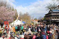Bild: Impressionen vom Kirschbl&uuml;tenfest 2022