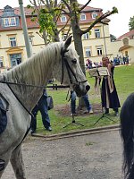 Archiv-Novalisritt 2019 Bild: Archiv-Novalisritt 2019