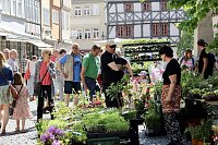 Bild: Gr&uuml;nes Innenstadtfest Bad Langensalza