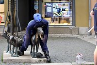 Bild: Feuerwehreinsatz in der Innenstadt von Bad Langensalza