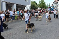 Bild: Impressionen vom Festumzug 