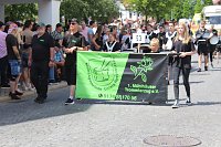 Bild: Impressionen vom Festumzug 