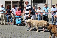 Bild: Impressionen vom Festumzug 