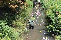 Am Zieleinlauf herrschte Volksfeststimmung Bild: Am Zieleinlauf herrschte Volksfeststimmung