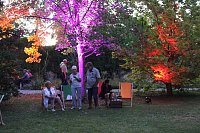 Bild: Extralange Sommerlaune gestern Abend in Bad Langensalza