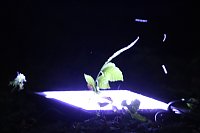 Bild: Extralange Sommerlaune gestern Abend in Bad Langensalza