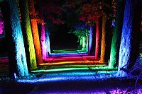 Bild: Extralange Sommerlaune gestern Abend in Bad Langensalza