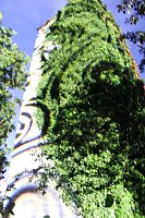 Bild: Extralange Sommerlaune gestern Abend in Bad Langensalza