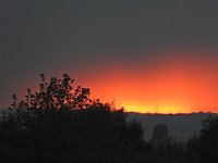 Bild: Beobachtungen am Kelbraer Stausee