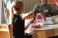 Rag der Zahngesundheit in der Rumpelburg Bild: Rag der Zahngesundheit in der Rumpelburg