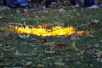 Bild: Halloween-Party im Schl&ouml;sschenpark