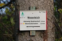 Bild: Peter Blei unterwegs im Harz