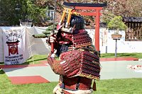 Bild: Impressionen vom Hanami 2023 in Bad Langensalza