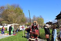 Bild: Impressionen vom Hanami 2023 in Bad Langensalza