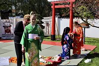 Bild: Impressionen vom Hanami 2023 in Bad Langensalza