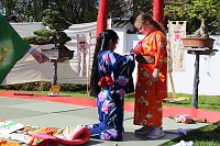 Bild: Impressionen vom Hanami 2023 in Bad Langensalza