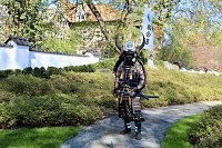 Bild: Impressionen vom Hanami 2023 in Bad Langensalza