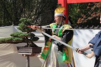 Bild: Impressionen vom Hanami 2023 in Bad Langensalza