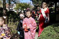 Bild: Impressionen vom Hanami 2023 in Bad Langensalza