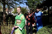 Bild: Impressionen vom Hanami 2023 in Bad Langensalza