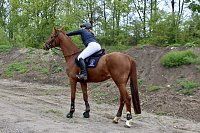 Vorbereitungen in Bad Tennstedt zum 20. Novalisritt auf den Spuren von Novalis Bild: Vorbereitungen in Bad Tennstedt zum 20. Novalisritt auf den Spuren von Novalis