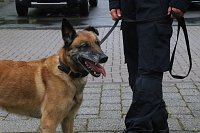 Besuch bei der Nordhäuser Hundestaffel Bild: Besuch bei der Nordhäuser Hundestaffel