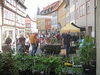 Bild: Gr&uuml;nes Innenstadtfest in Bad Langensalza