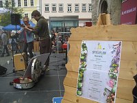 Bild: Gr&uuml;nes Innenstadtfest in Bad Langensalza