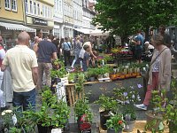 Bild: Gr&uuml;nes Innenstadtfest in Bad Langensalza