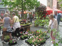 Bild: Gr&uuml;nes Innenstadtfest in Bad Langensalza