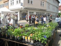 Bild: Gr&uuml;nes Innenstadtfest in Bad Langensalza