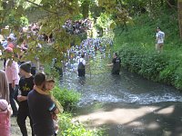 Entenrennen in Bad Langensalza Bild: Entenrennen in Bad Langensalza