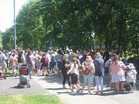 Entenrennen in Bad Langensalza Bild: Entenrennen in Bad Langensalza