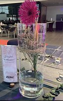 Frauentag bei den "Peters" Bild: Frauentag bei den "Peters"