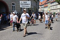 210. Brunnenfest in Bad Langensalza Bild: 210. Brunnenfest in Bad Langensalza