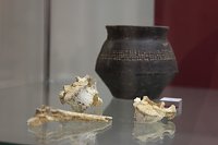 Bild: Ausstellungser&ouml;ffnung im Stadtmuseum