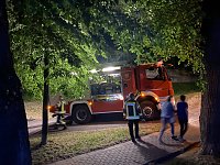 Bild: Brunnenfest Bad Langensalza