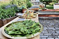 Bild: Kulinarische Gen&uuml;sse aus der Natur, stellte das Team "Wildrausch" seinen G&auml;sten im Garten des Apothekenmuseums in Bad Langensalza vor