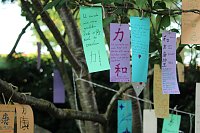 Bild: Sternenfest TANABATA im Japanischen Garten in Bad Langensalza