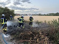 Bild: Fl&auml;chenbrand am Abend