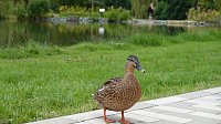 Bild: Stippvisite bei der Landesgartenschau in Bad Gandersheim