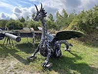 Drachen-Alarm am Sundhäuser Kiesteich Bild: Drachen-Alarm am Sundhäuser Kiesteich