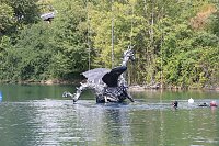Drachen-Alarm am Sundhäuser Kiesteich Bild: Drachen-Alarm am Sundhäuser Kiesteich